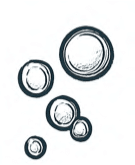 bubbles