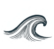 wave